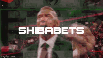 Shibabet Shibabets GIF - Shibabet Shiba Shibabets GIFs