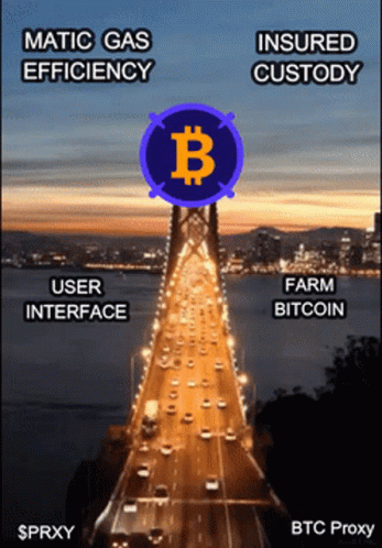 Bitcoin Prxy GIF - Bitcoin Prxy Bitcoin Bridge GIFs
