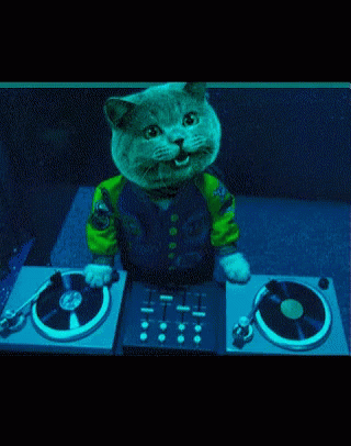Cats Party GIF - Cats Party GIFs