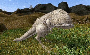a lizard is walking through a field of flowers