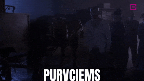 a group of police officers are standing in front of a sign that says purvciems
