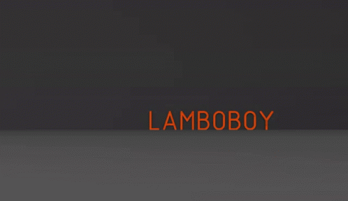 Lambo Lamboboy GIF - Lambo Lamboboy Ilkin Lambo GIFs