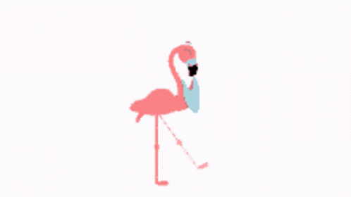 Flamingo Halay Flamingo GIF - Flamingo Halay Flamingo Halay GIFs