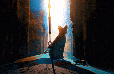 a cat is sitting in a dark alleyway looking at the light