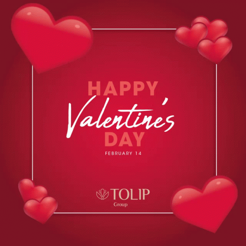 Valentines Tolip GIF - Valentines Valentine Tolip GIFs