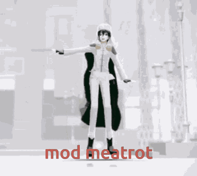 a 3d model of a person with the words mod meatrot on the bottom