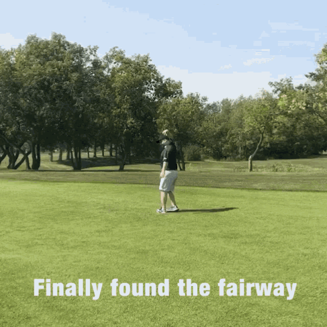 Fairway Golf GIF - Fairway Golf Golfer GIFs