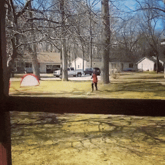 a person in a red jacket is standing in a grassy area