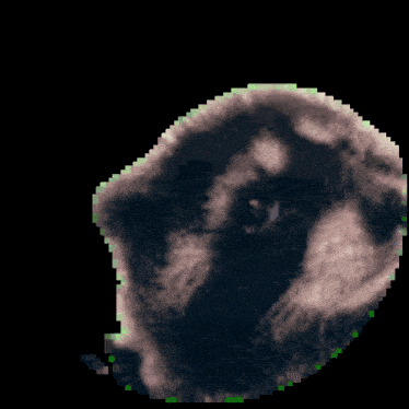 a pixelated image of a bear with a green outline