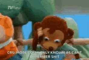 a stuffed monkey is sitting next to another stuffed animal and says `` more commonly known as cant remember shit ''