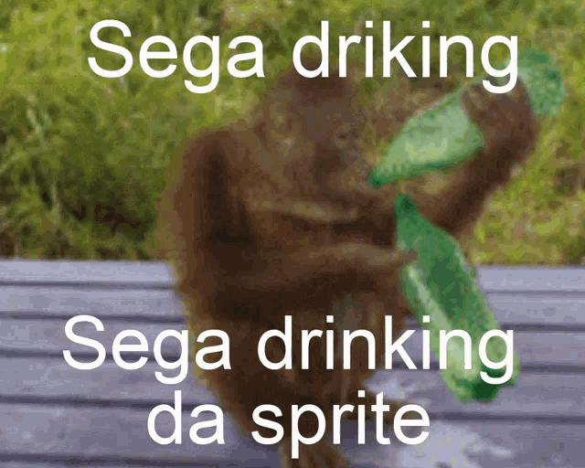 Sega Drinking Da Sprite GIF - Sega Drinking Da Sprite GIFs