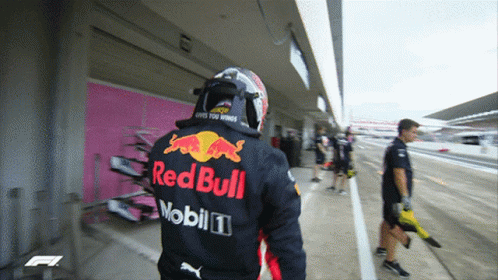Daniel Ricciardo Red Bull GIF - Daniel Ricciardo Red Bull GIFs
