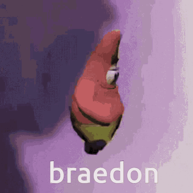 a picture of patrick from spongebob squarepants with the name braedon written below it