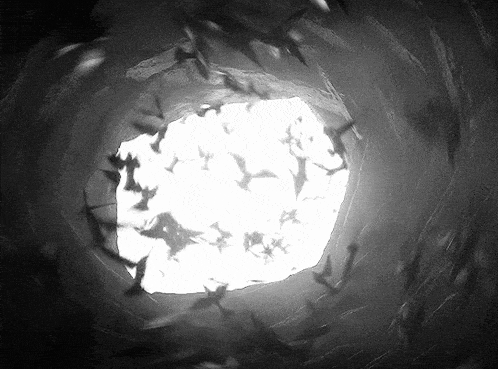 a black and white photo of bats flying through a hole