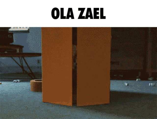 a picture of a box that says ola zael on the top