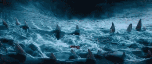 a group of sharks are swimming in a body of water .