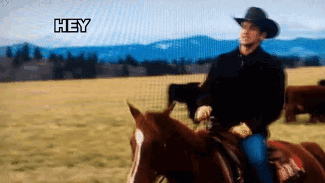 a man in a cowboy hat is riding a horse in a field with mountains in the background and the words hey above him
