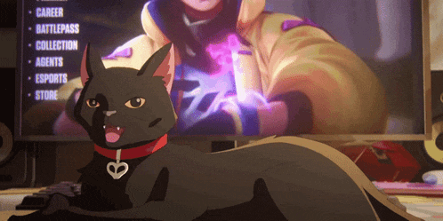 a black cat is laying in front of a computer screen that says career battlepass collection and agents