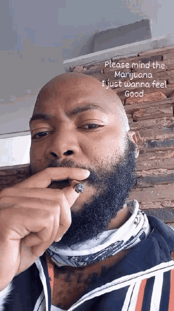a man with a beard is smoking a marijuana cigarette and says " please mind the marijuana i just wanna feel good "