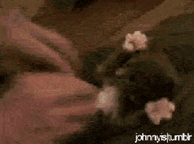 a blurry picture of a person with a cartoon face and the words johnnys tumblr on the bottom right