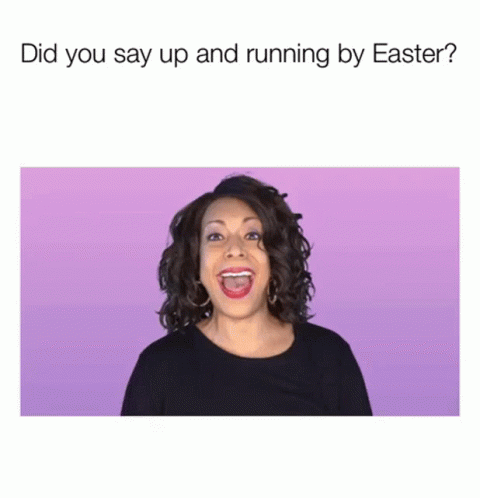 Did You Say Up And Running By Easter Scream GIF - Did You Say Up And Running By Easter Scream Laugh GIFs