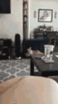 a person is sitting on a couch in a living room with a coffee table .