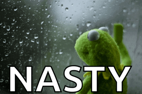 a kermit the frog looking out a window with the word nasty below him