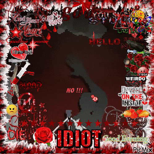 a picture frame with the word idiot in the center