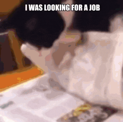 a cat is looking at a newspaper with the words i was looking for a job above it