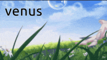 a picture of a field with the word venus in the middle