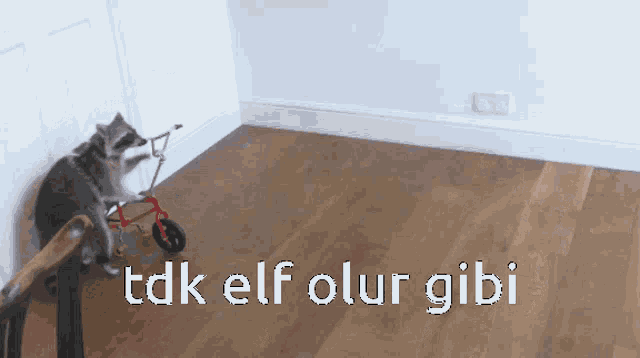 Tdk Elf GIF - Tdk Elf GIFs