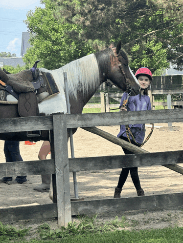 a girl wearing a pink helmet is standing next to a horse