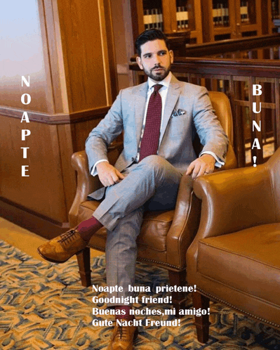 a man in a suit sits in a chair with the words noapte buna prietenie goodnight friend