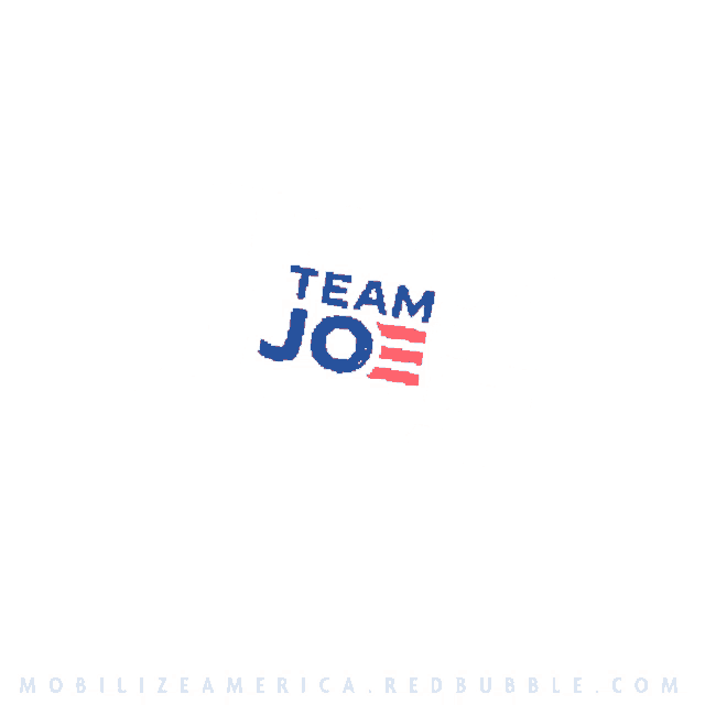a red white and blue team joe logo