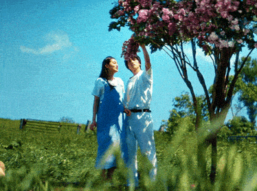 a man and a woman are standing in a field looking at a tree with purple flowers