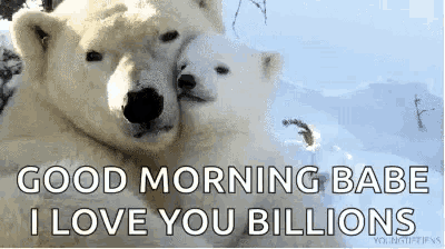 a couple of polar bears hugging each other with the words " good morning babe i love you billions "