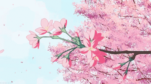 Sakura Spring GIF - Sakura Spring Japan GIFs