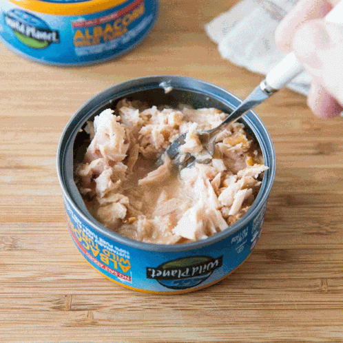 Canned Tuna Nom Nom GIF