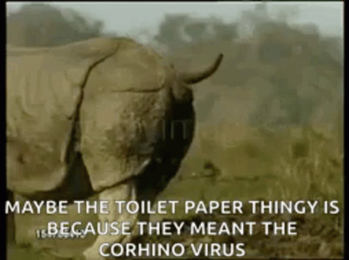 Corhino Virus Toilet Paper Thingy GIF - Corhino Virus Toilet Paper Thingy Poop GIFs