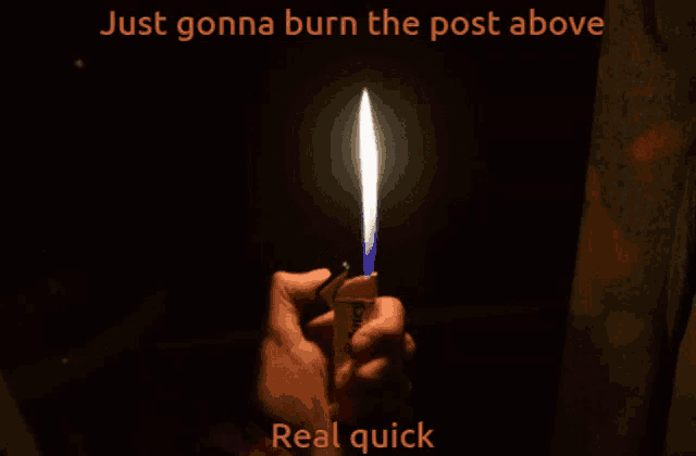a person is holding a lighter in their hand with a caption that says " just gonna burn the post above real quick "