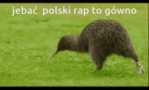 Polski Rap Kiwo GIF - Polski Rap Kiwo Kiwi GIFs