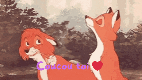 a couple of foxes standing next to each other with the words coucou toi on the bottom