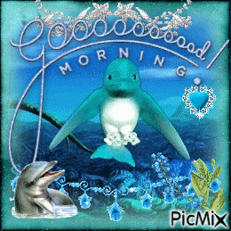 a picture of two dolphins with the words good morning on it