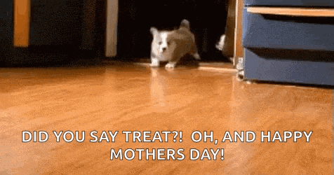 a dog is running on a wooden floor with the words `` did you say treat ? oh , and happy mother 's day '' .