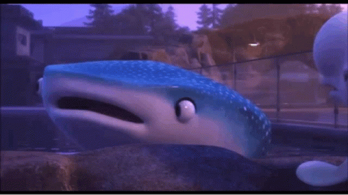 Finding Dory GIF - Finding Dory Destiny GIFs