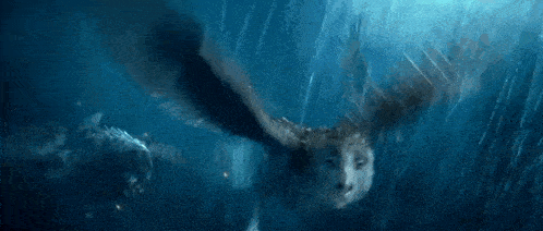 Flying Storm GIF - Flying Storm Owl GIFs