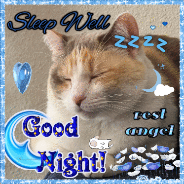 a picture of a cat with the words sleep well and good night written on it