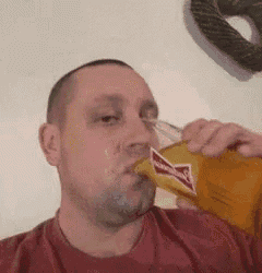 a man in a red shirt is drinking a budweiser beer from a bottle .