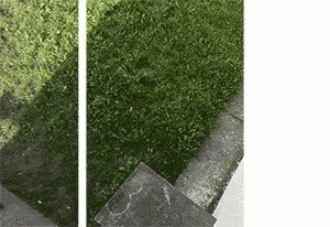 a collage of three pictures of a lush green lawn