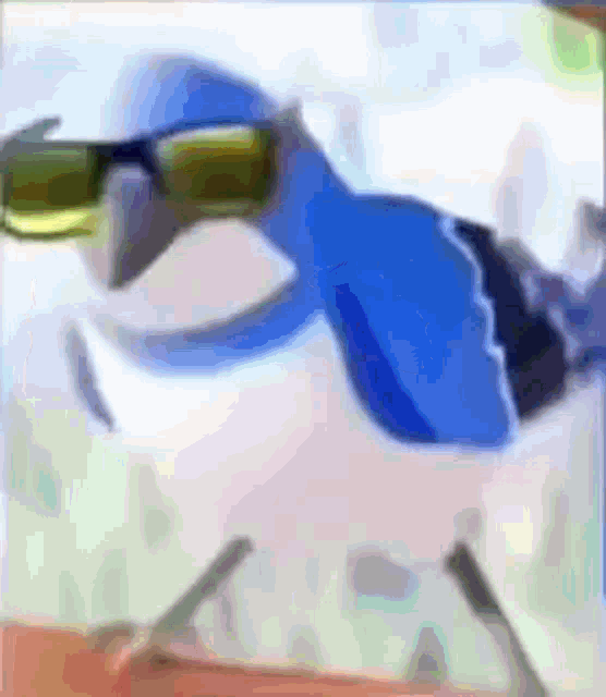 a blue jay is wearing sunglasses and a hat .
